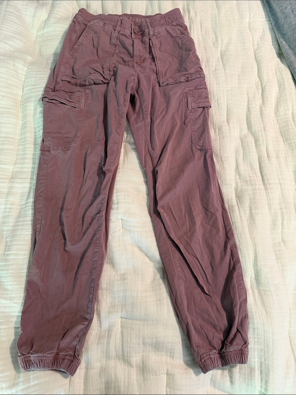 American Eagle Outfitters Wide-Leg Cargo Pants in Plum